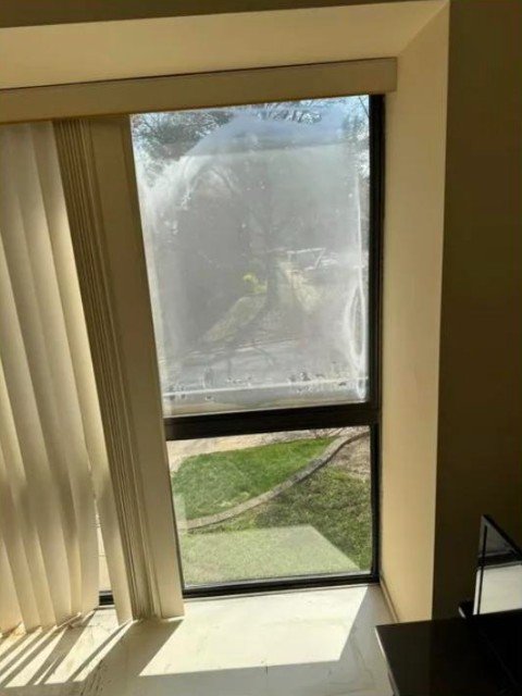 Failed-seal fog between the panes — before